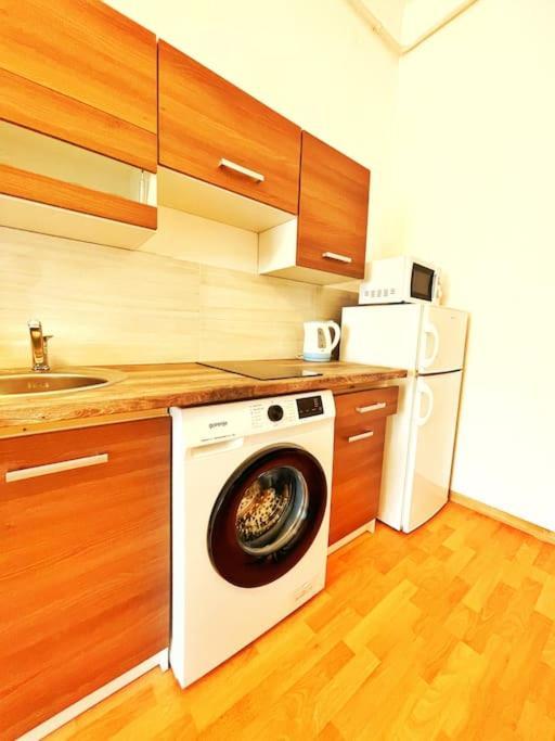 Central Spacious Flat Budapeşte Dış mekan fotoğraf
