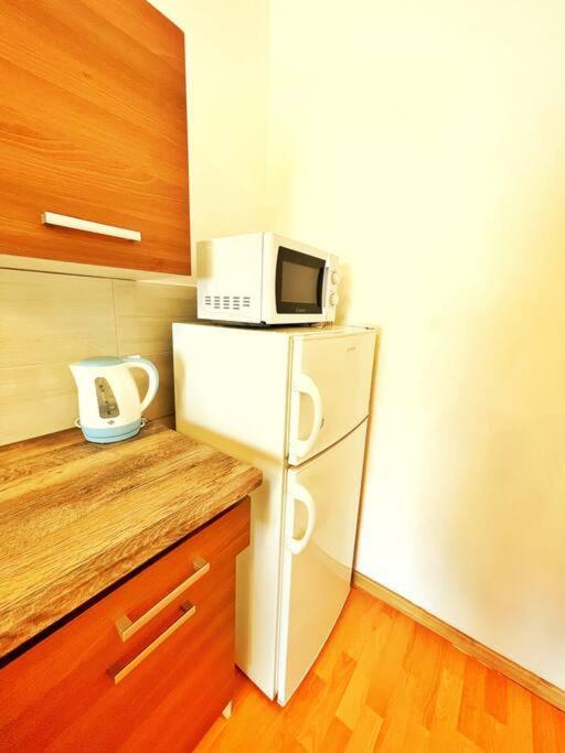 Central Spacious Flat Budapeşte Dış mekan fotoğraf